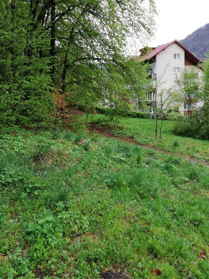 Rustic & Romantic Apartment Brasov Exterior photo