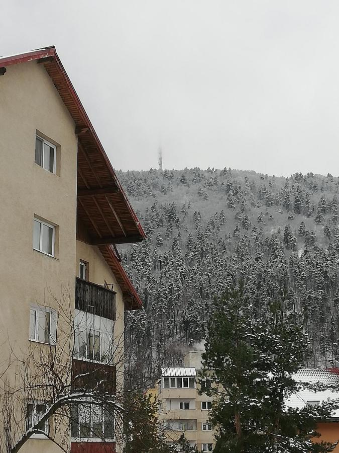 Rustic & Romantic Apartment Brasov Exterior photo