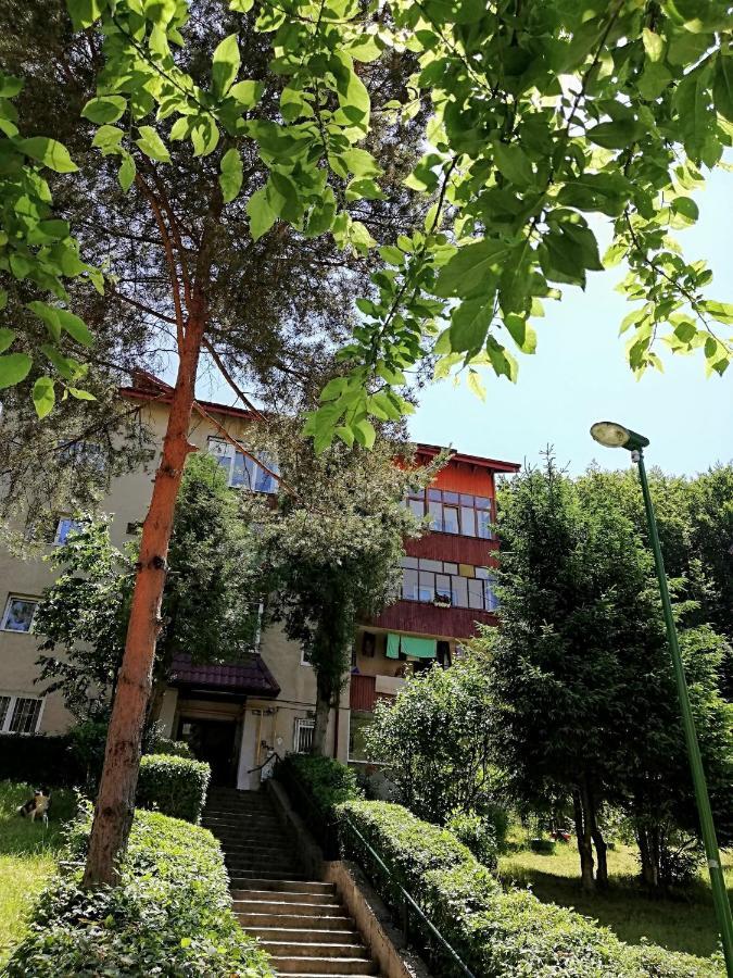 Rustic & Romantic Apartment Brasov Exterior photo